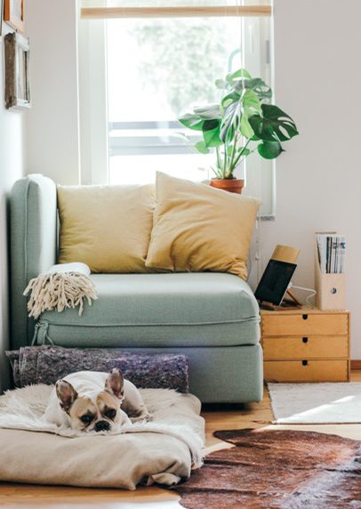 easy decluttering home checklist to follow step by step declutter process. #declutter #decluttering #declutteryourhome #declutteringtips #declutteringahouse #organization #organize #organizing #organizationideas #organizationtips #organizationhacks #organizationideasforthehome #organise #organizedhome #organizingtips #organizingyourhome #organizingclutter #organizingideas #konmari