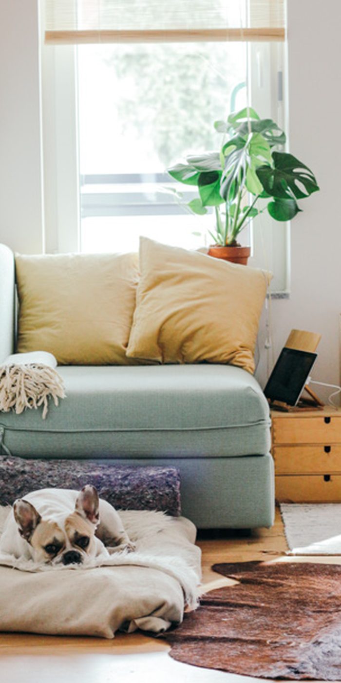 how to simply, organize and declutter your home fast room by room #declutter #decluttering #declutteryourhome #declutteringtips #declutteringahouse #organization #organize #organizing #organizationideas